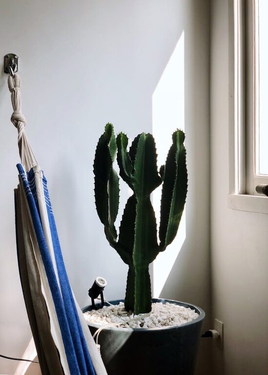 Quick Ideas to Brighten a Dark Room Effortlessly