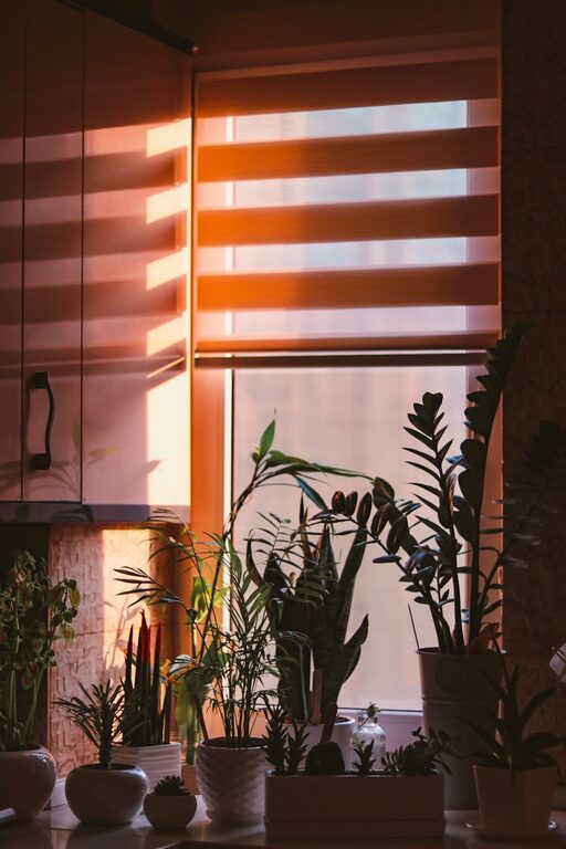 How to Refresh Your Home with Plants: Easy Tips for a Greener Space